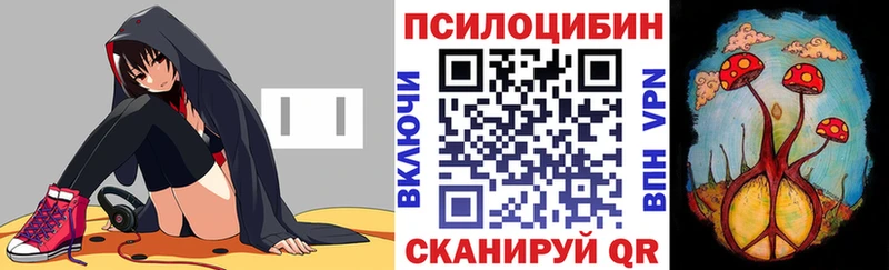 Псилоцибиновые грибы GOLDEN TEACHER  Дальнереченск 