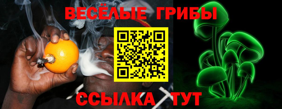 Псилоцибиновые грибы Magic Shrooms Дальнереченск